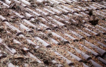 Four Points roof cleaning companies