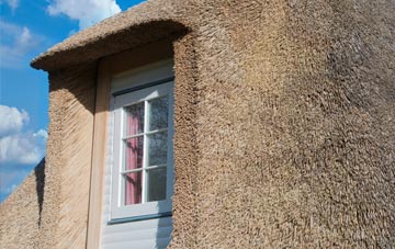 Four Points thatch roof disadvantages