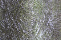 Four Points fibreglass roof work